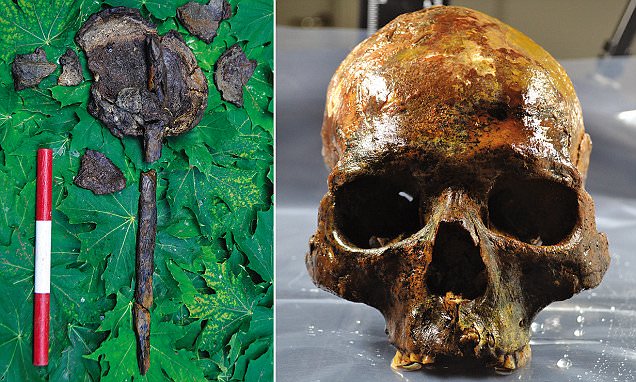 In an 8,000-year-old Burial Archaeological Site in Sweden, Human Skeletons Mounted on Stakes Were Discovered.