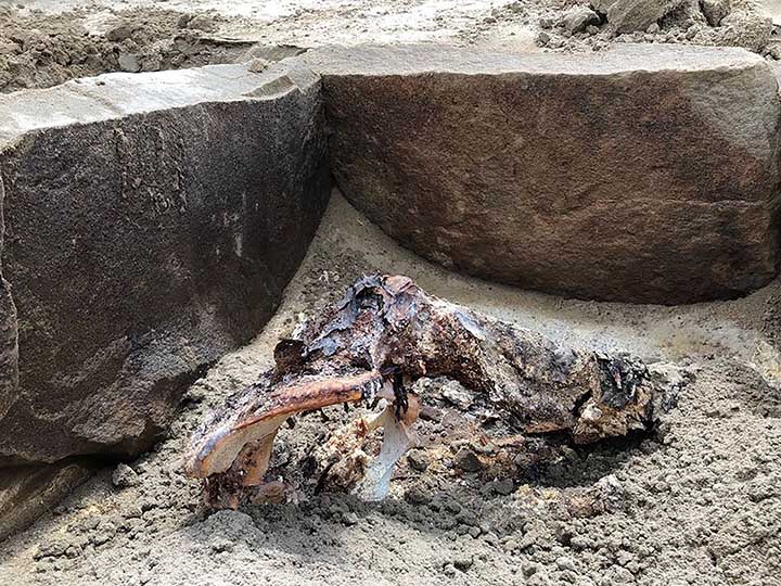 ‘Sleeping Beauty’ Mummy Discovered 2,000 Years After Death Wearing Skirt And Clutching Make-Up Box