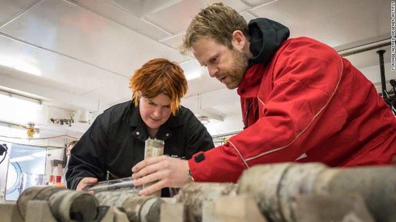 Remains of 90 million-year-old Rainforest Discovered Under Antarctic Ice