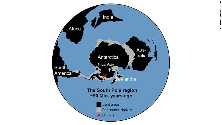 Remains of 90 million-year-old Rainforest Discovered Under Antarctic Ice