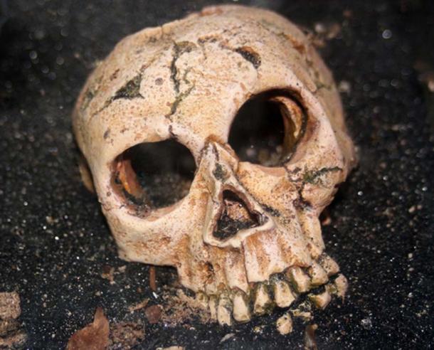 Ancient Anomalous Human Skeletons: Humanity Could be Much Older Than We Think