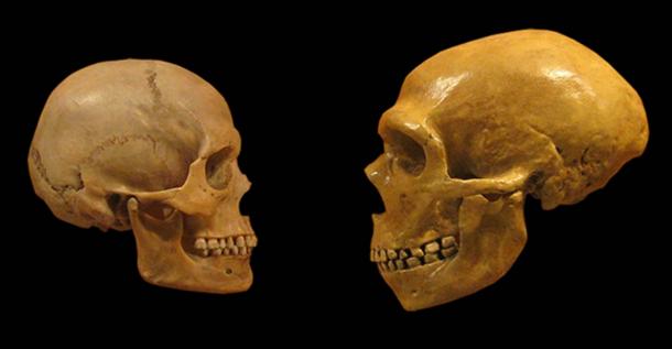 Ancient Anomalous Human Skeletons: Humanity Could be Much Older Than We Think