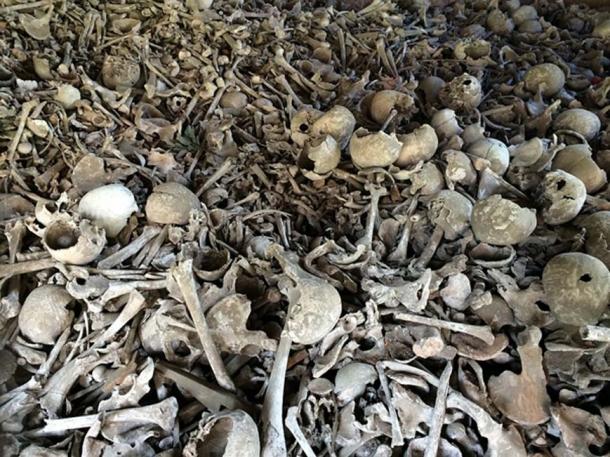 Ancient Anomalous Human Skeletons: Humanity Could be Much Older Than We Think