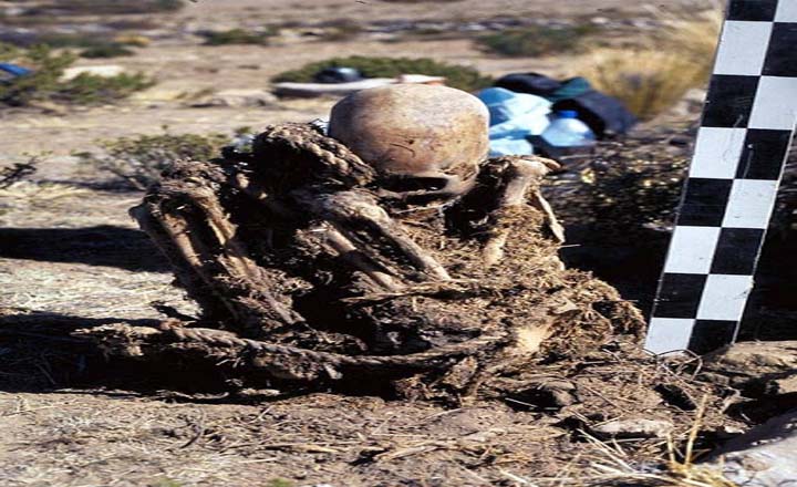 Archaeologists in Bolivia Found Two Skeletons With Abnormally Elongated Skulls