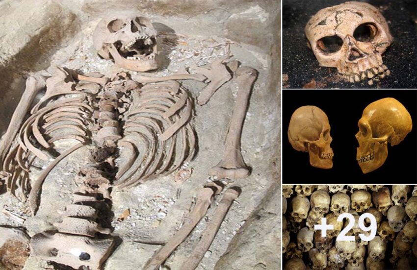 Ancient Anomalous Human Skeletons: Humanity Could be Much Older Than We ...