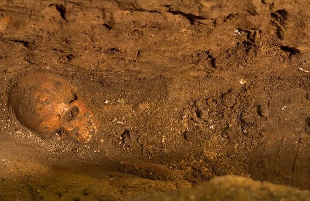 Skeletons Found Under a Florida Wine Shop May Be Some of America’s First Colonists