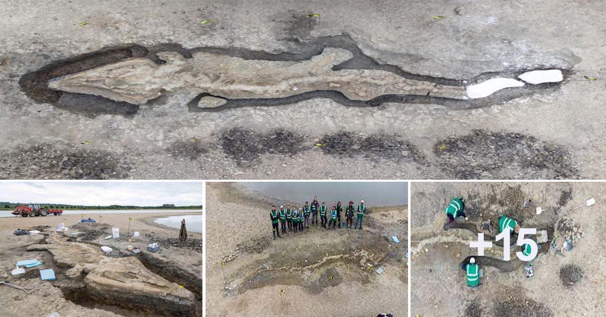 A 180 million-year-old, Giant "Sea Dragon" Fossil was Found in the United Kingdom.