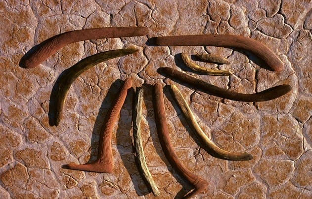 800 years ago, A Brutal Boomerang Blow Killed This Man