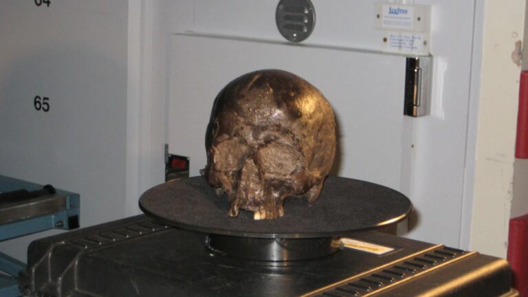 Secrets of an astonishingly well-preserved 2,600-year-old human brain