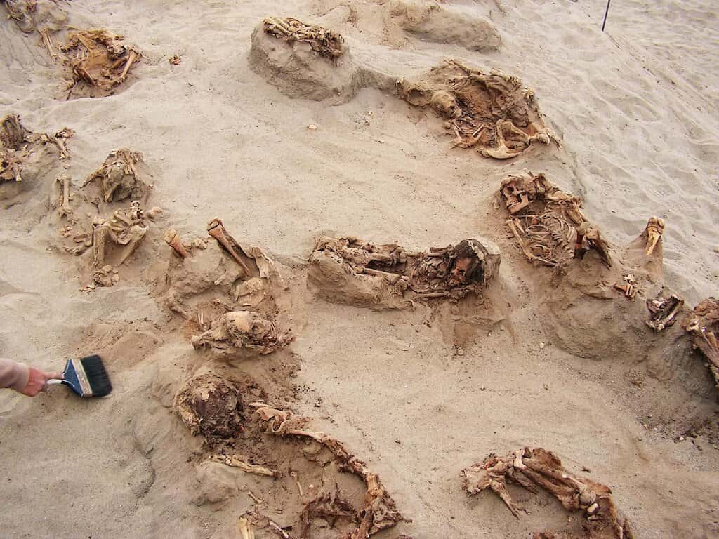 Hundreds of Children and llamas Were Sacrificed in a Ritual Event in 15th-Century Peru