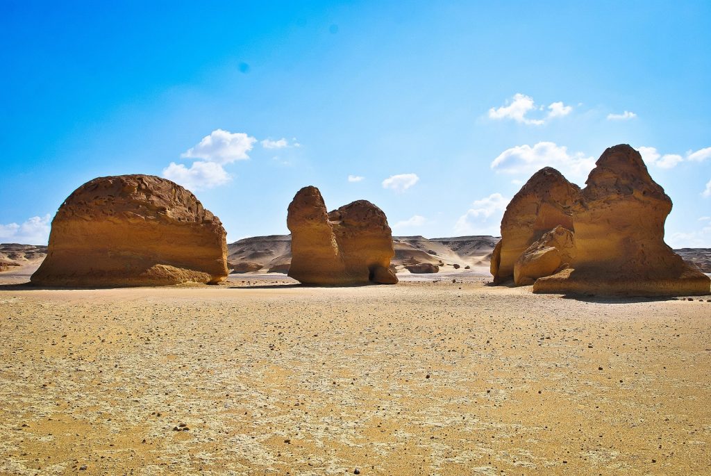 There’s a Valley of Whales in the Middle of Egypt’s Desert and its Millions of Years old