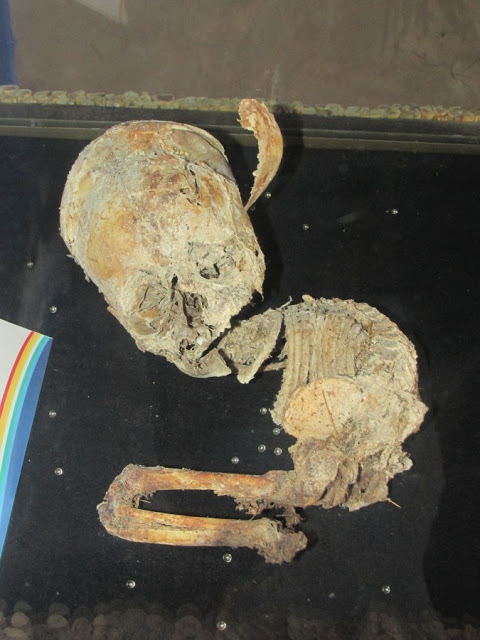 Archaeologists in Bolivia Found Two Skeletons With Abnormally Elongated Skulls