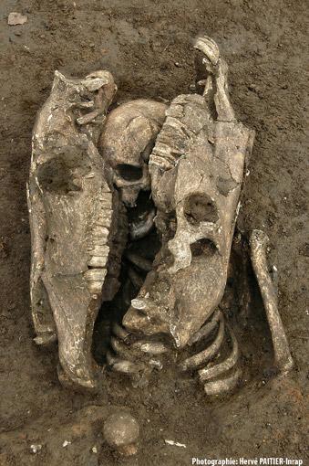 Unusual Gallo-Roman horse and human skeletons were discovered in France's Evreux (Eure)