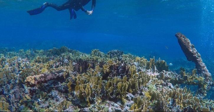 In Mexico's Caribbean, Archaeologists Find a More Than 200-year-old Shipwreck