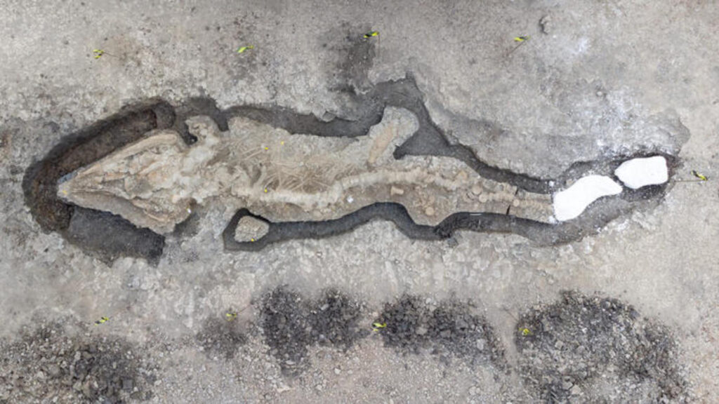 A 180 million-year-old, Giant "Sea Dragon" Fossil was Found in the United Kingdom