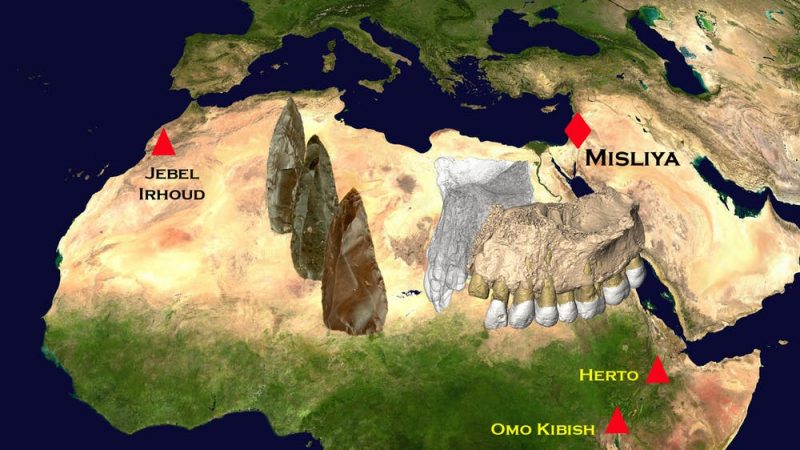 195,000 Years Oldest Fossils Found Outside of Africa