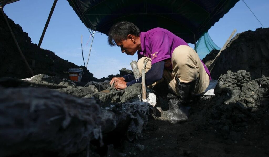 5,000-year-old Bryde's whale skeleton discovered in Thailand