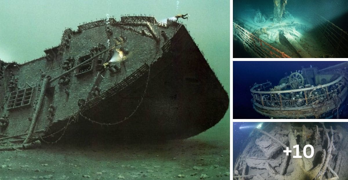 Ancient shipwreck is discovered 1,200 years after sinking in the Holy Land