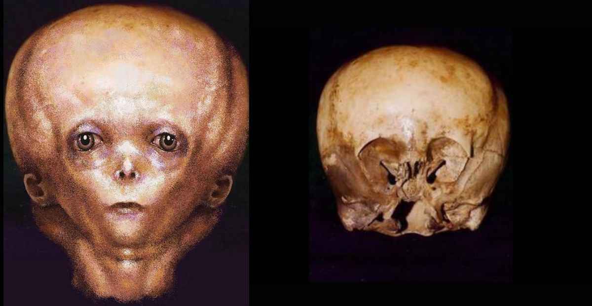 Teenage Girl Discovers “Bizarre Humanoid Skull” Like No Other in Abandoned Mine Shaft in Mexico