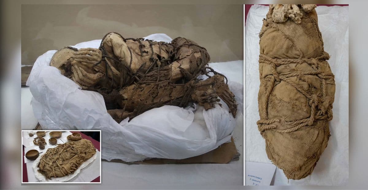 Eight Mummified Children Found in Peru May Have Been Sacrificed in an Ancient Funeral Ritual
