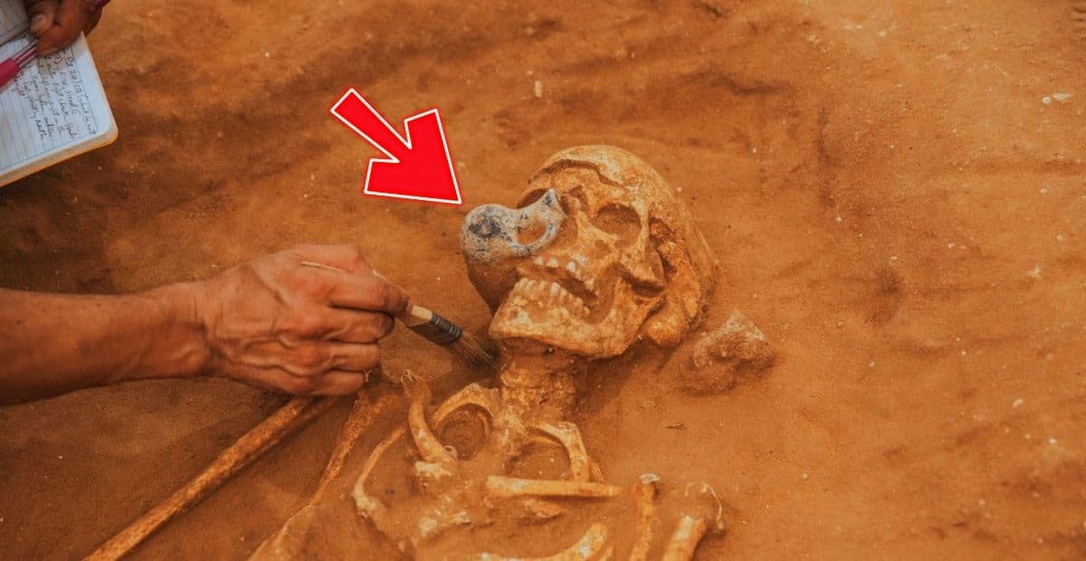 3,000-Year-Old Skeleton Found in the Philistine Cemetery Had Juglet Stuck to Its Skull