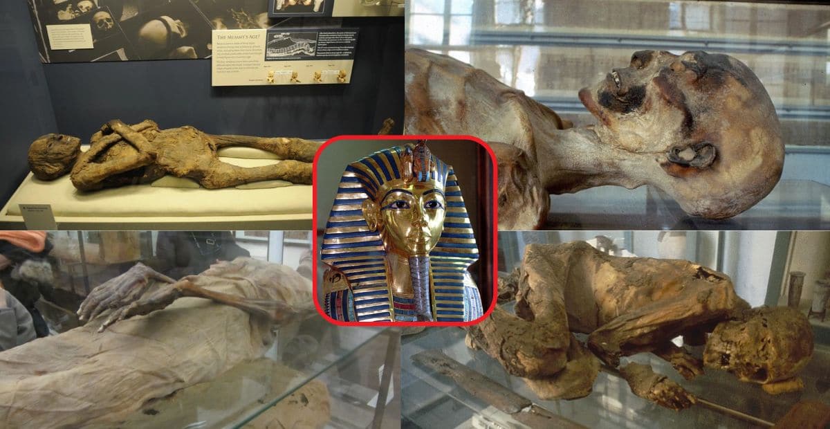 Ancient Egyptians Were Embalming Mummies 1,500 Years Earlier Than First Thought