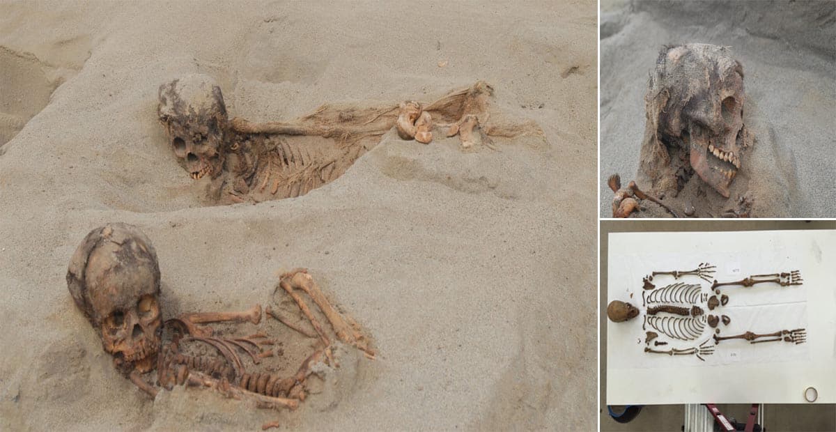 Ancient Mass Sacrifice Site Reveals Hundreds of Child And Llama Skeletons