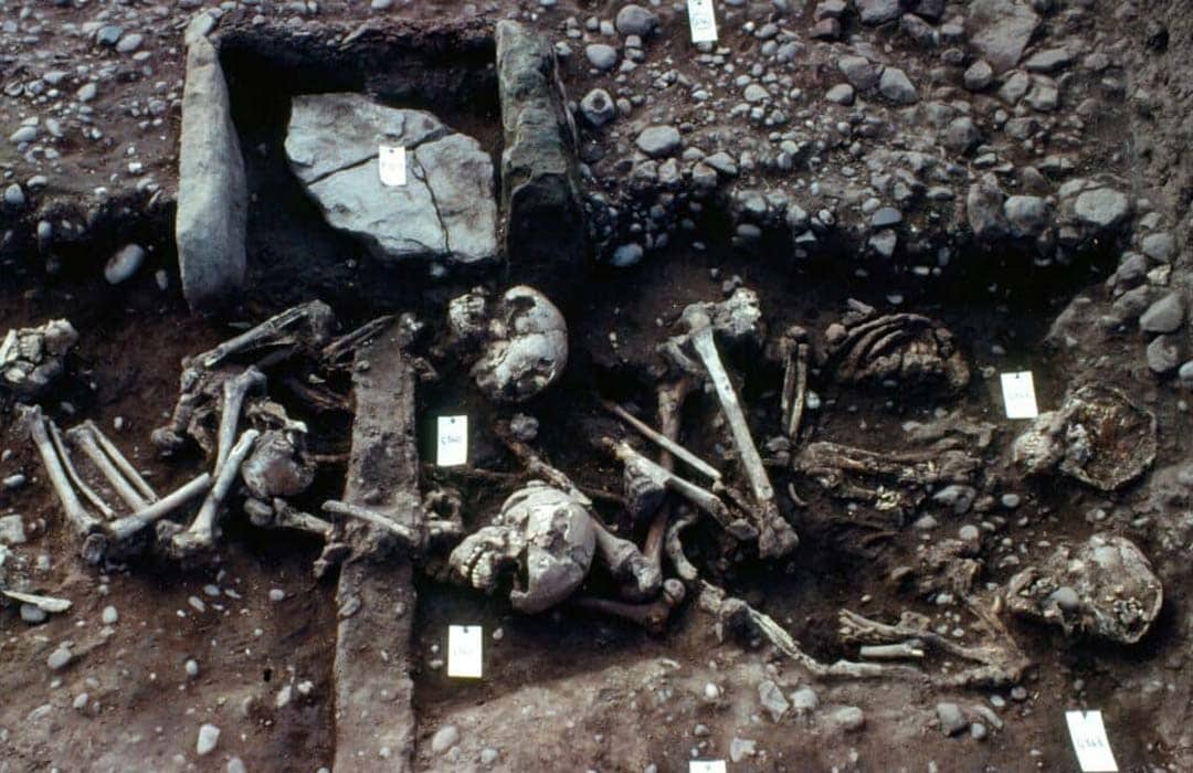 Mass Graves Of The Viking Army Contained Slaughtered Children To Help Dead Reach Afterlife, Experts Believe