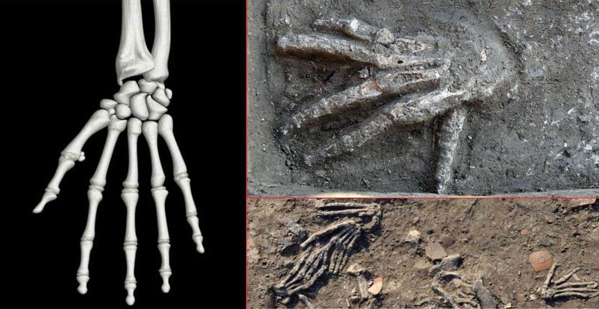 3,600-Year-Old Ancient Giant Hands in Egypt Archaeologists Discovered Pits Full