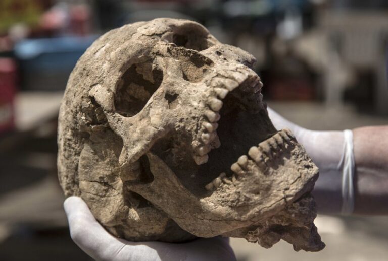 3,000-Year-Old Skeleton Found in the Philistine Cemetery Had Juglet Stuck to Its Skull