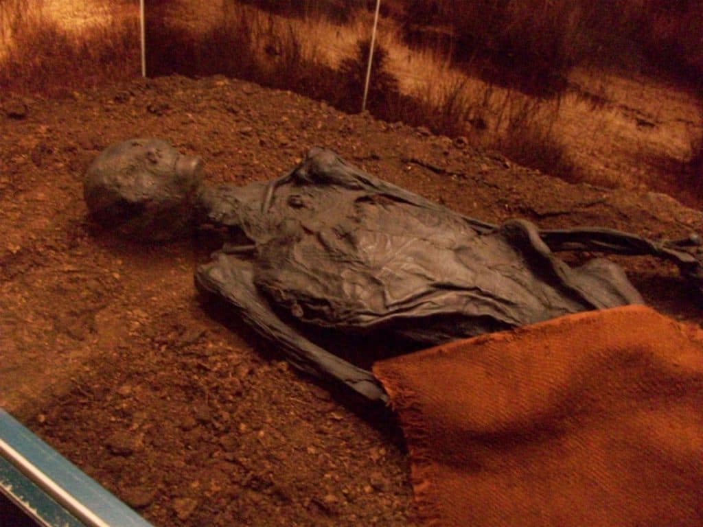 Archaeologist Discovered Grauballe man, a preserved bog body from the 3rd century B.C