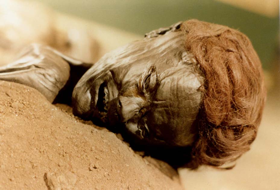 Archaeologist Discovered Grauballe man, a preserved bog body from the 3rd century B.C