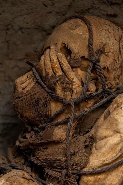 Eight Mummified Children Found in Peru May Have Been Sacrificed in an Ancient Funeral Ritual