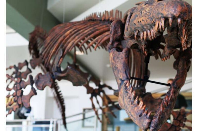 Jaws of Death: Paleontologist Renames GIANT, Prehistoric Marine Lizard