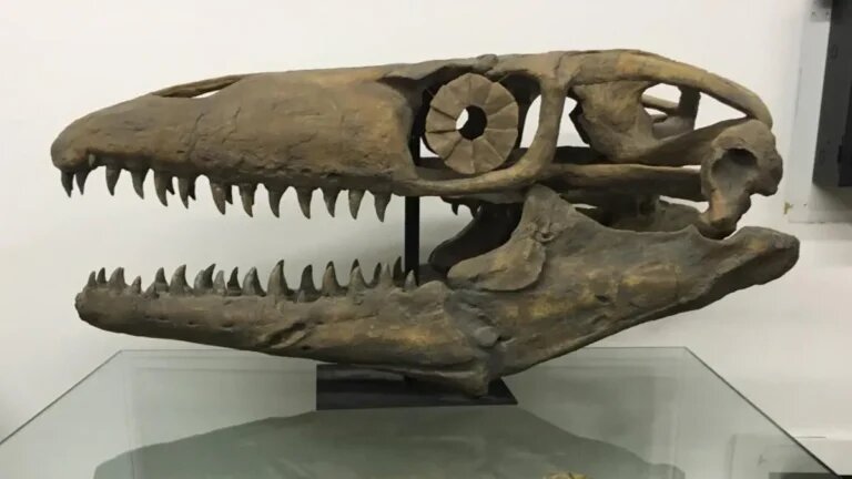 Jaws of Death: Paleontologist Renames GIANT, Prehistoric Marine Lizard