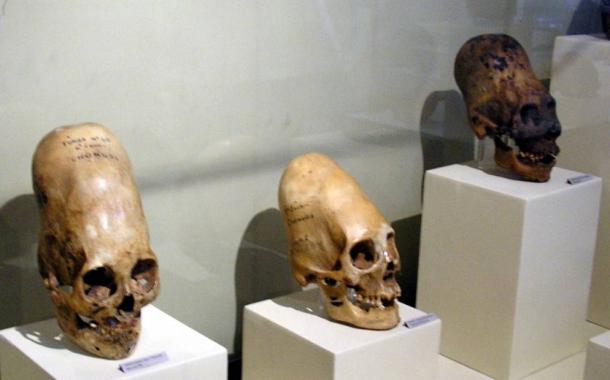 New DNA Testing on 2,000-Year-Old Elongated Paracas Skulls Changes Known History