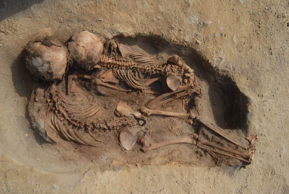 Ancient Mass Sacrifice Site Reveals Hundreds of Child And Llama Skeletons