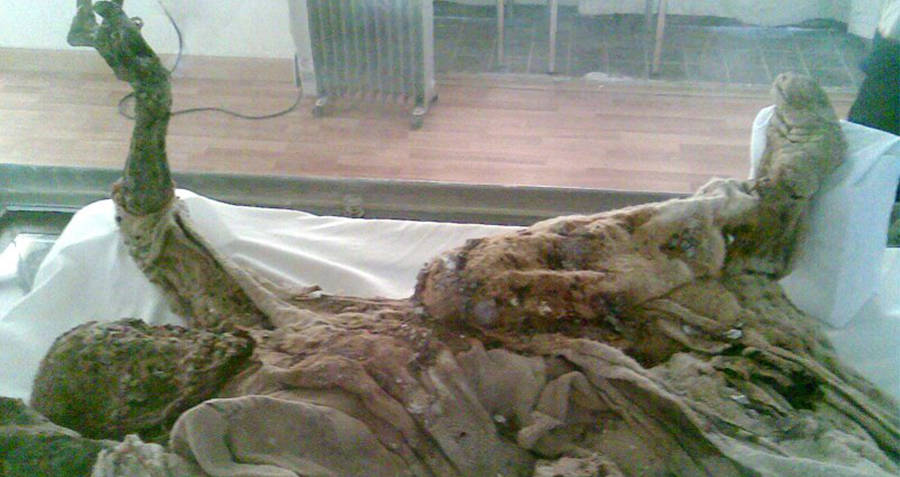 Mystery Of The 1,700-Year-Old ‘Salt’ Mummy With Long White Hair