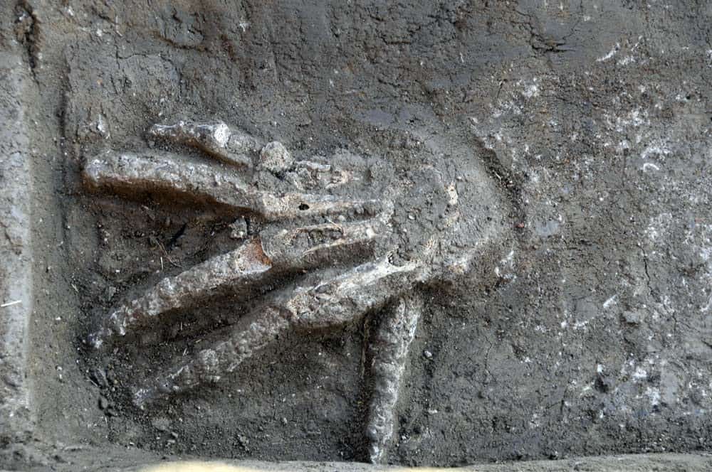 3,600-Year-Old Ancient Giant Hands in Egypt Archaeologists Discovered Pits Full