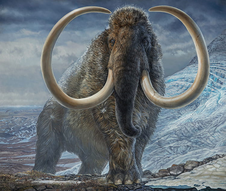 Million-year-old DNA from Mammoth Teeth Found in Siberia is Oldest Genome Ever Sequenced