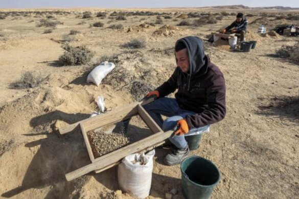 4000-year-old Ostrich Eggs Discovered in Negev Desert