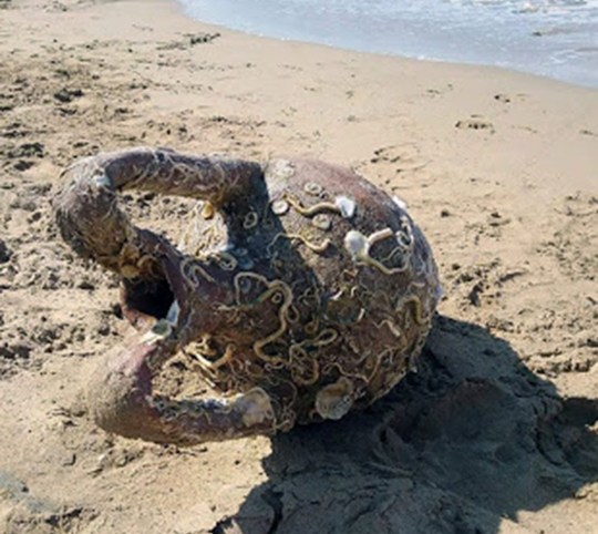 Historic Byzantine Amphora Discovered by Swimmer at the Beach in Crete