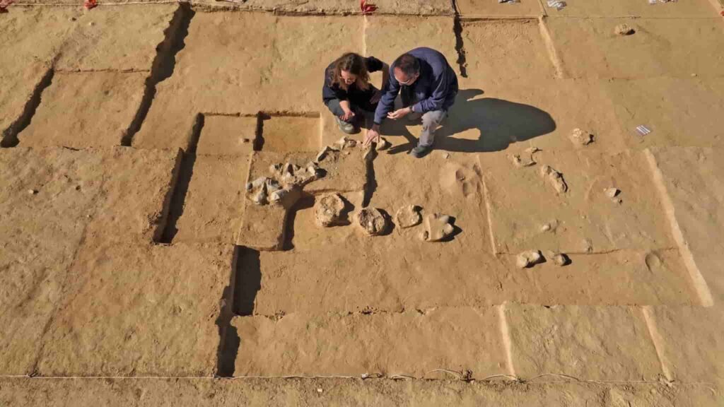 4000-year-old Ostrich Eggs Discovered in Negev Desert