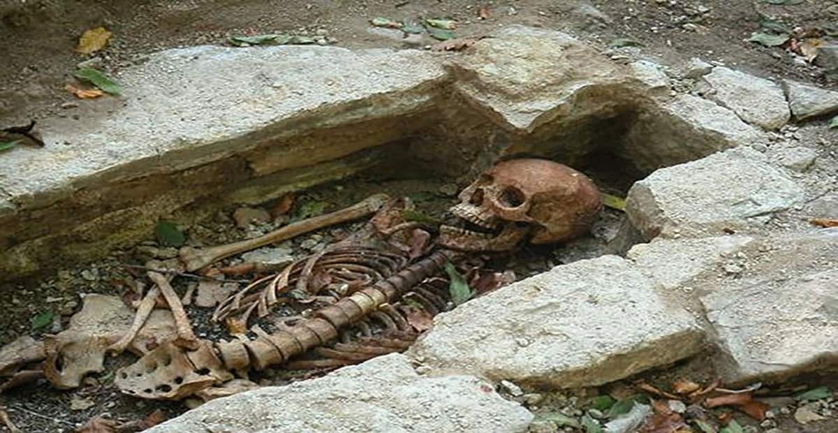 Unique Ancient Skeletons Discovered At Varnhem Abbey, Sweden