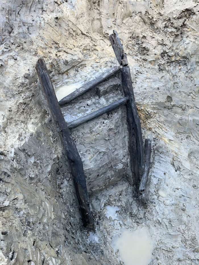 Incredibly Well-Preserved 1,000-Year-Old Wooden Ladder Discovered In The UK