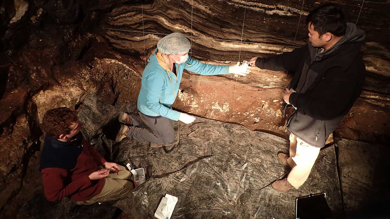 Sediment DNA Reveals a 300,000-Year Timeline of Ancient and Modern Humans Living in Siberia