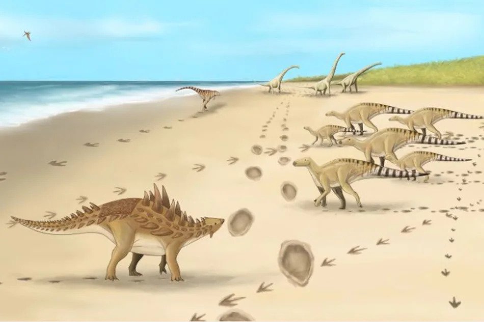 Footprints Of Last Dinosaurs To Walk On UK Soil 110 Million Years Ago Found