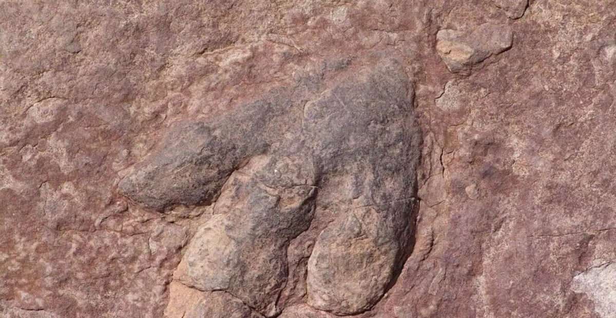 Footprints Of Last Dinosaurs To Walk On UK Soil 110 Million Years Ago Found