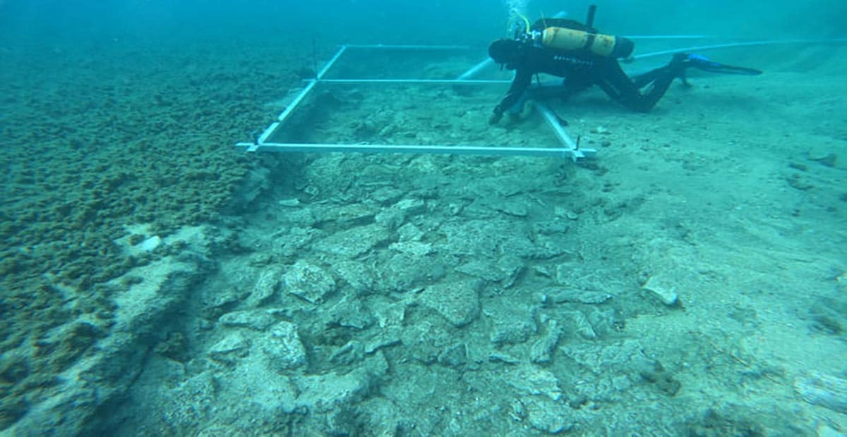 7,000-Year-Old Underwater Road Discovered In Adriatic Sea Off Korcula Island