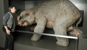 Fossil Hunters Unearth Massive Mega-Wombat Graveyard - Archaeology Worlds